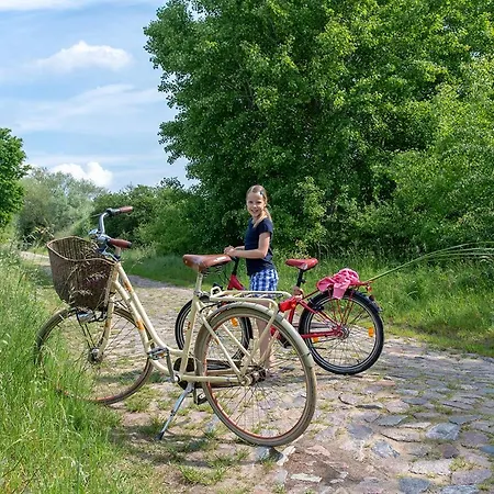Bungis Ferien Direkt Am Grimnitzsee, Karree 05 * Joachimsthal