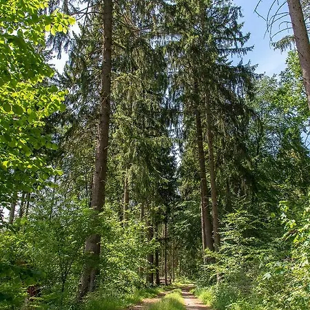 Ferienhaus Bungis Ferien Direkt Am Grimnitzsee, Karree 05